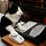 PROJETO - Marketing Digital para santuários