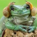 PROJETO - Gravação de audiolivro