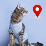 PROJETO - Mapeamento de animais não castrados